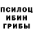 Галлюциногенные грибы Magic Shrooms Yakov Pesin