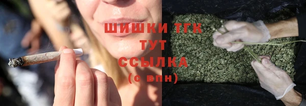стафф Белокуриха