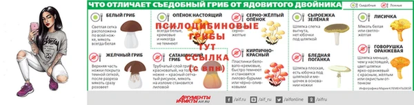 гидра Аша