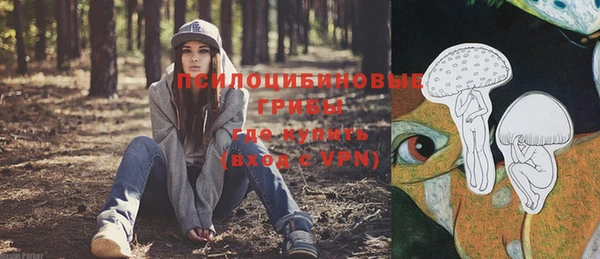 гидра Аша