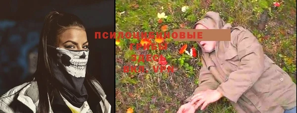 Альфа ПВП Богородск