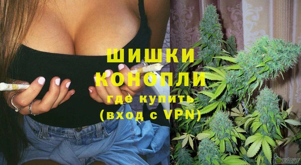 Альфа ПВП Богородск